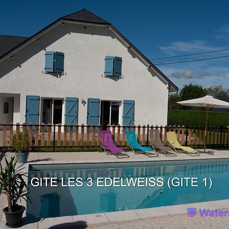 Les 3 Edelweiss - Gite 1 Ou Gite 2 Arette Dış mekan fotoğraf