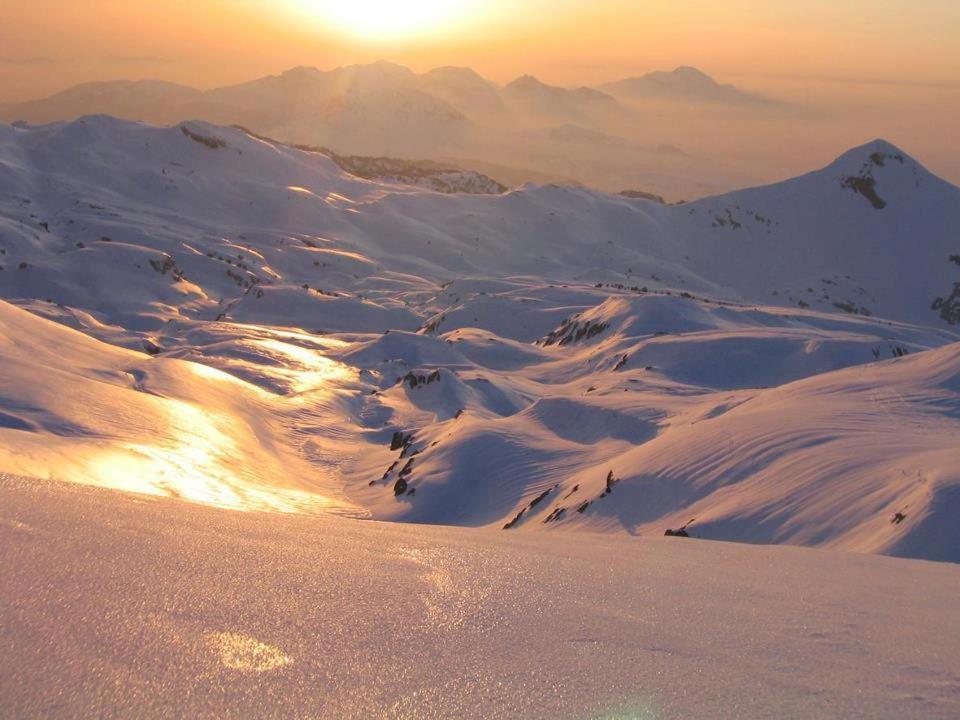 Les 3 Edelweiss - Gite 1 Ou Gite 2 Arette Dış mekan fotoğraf