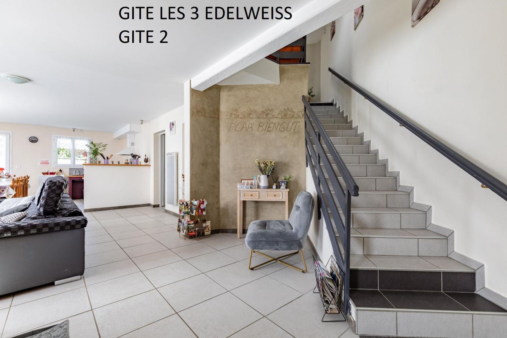 Les 3 Edelweiss - Gite 1 Ou Gite 2 Arette Dış mekan fotoğraf